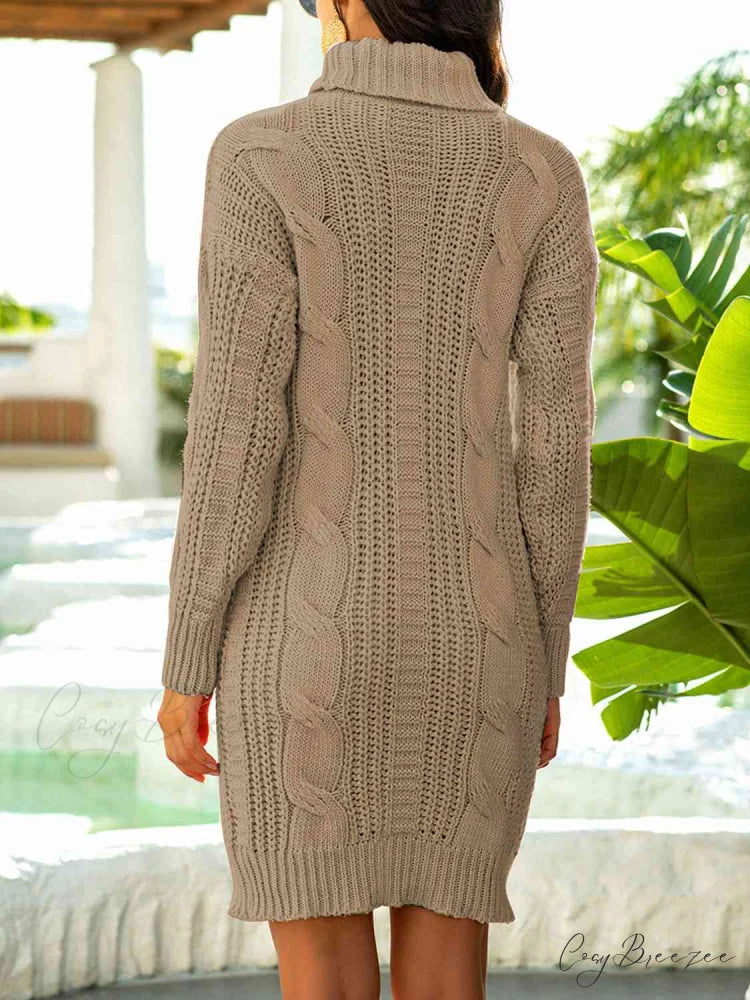 Ribbed Turtleneck Sweater Dress