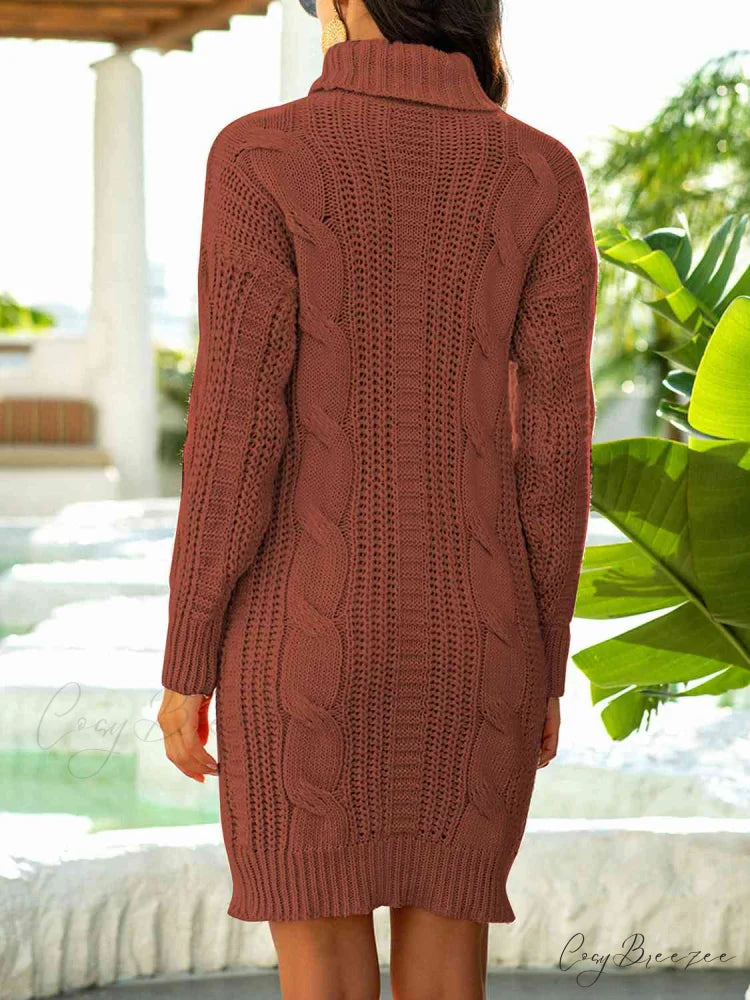 Ribbed Turtleneck Sweater Dress