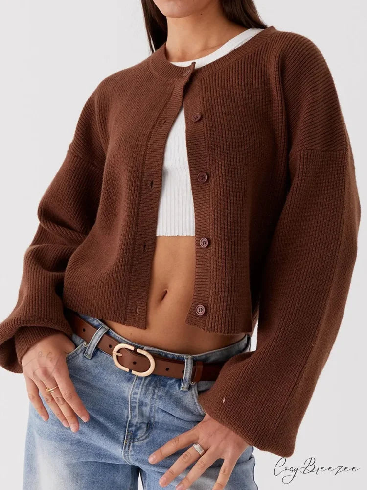 Round Neck Button-Down Full Sleeve Cardigan brown / S cardigans-241228