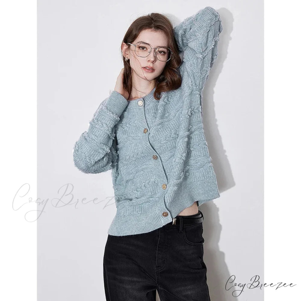 Round Neck Jacquard Embroidered Cardigan Sky Blue / S