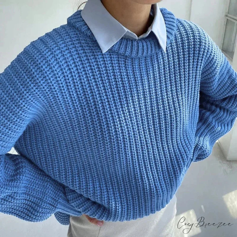 Simple Pullover Purple Y2k Sweater Blue / S swraters-241228