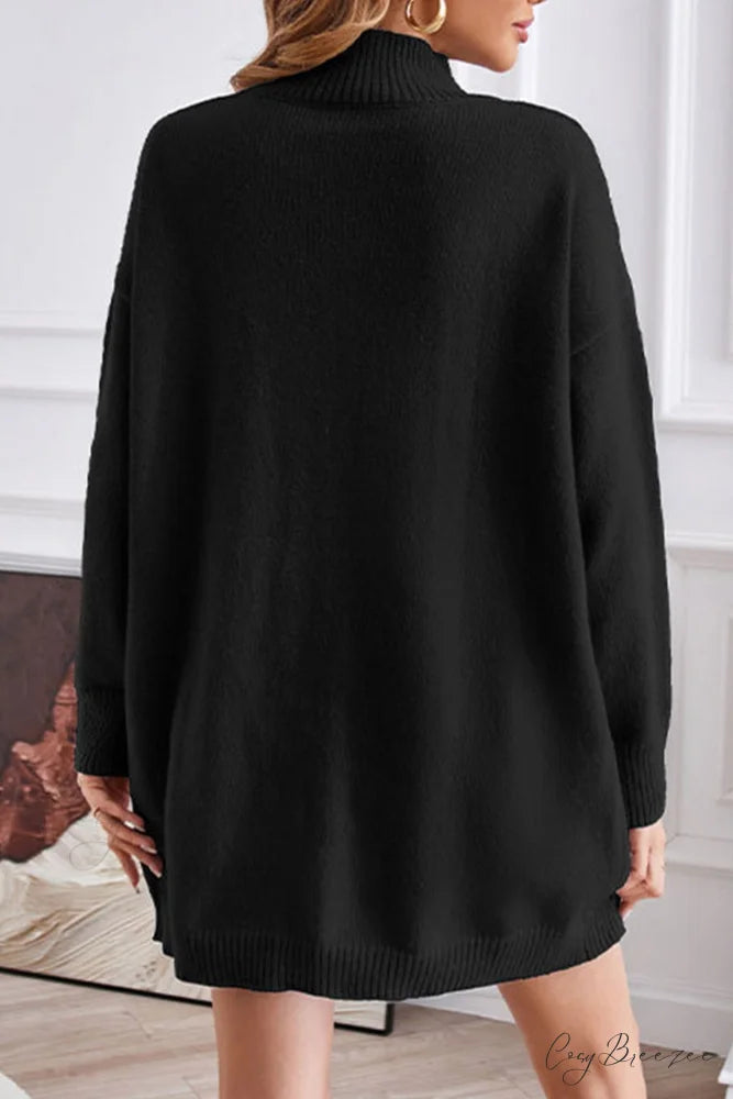 Slit-front Sweater with Turtleneck Detail Black / L