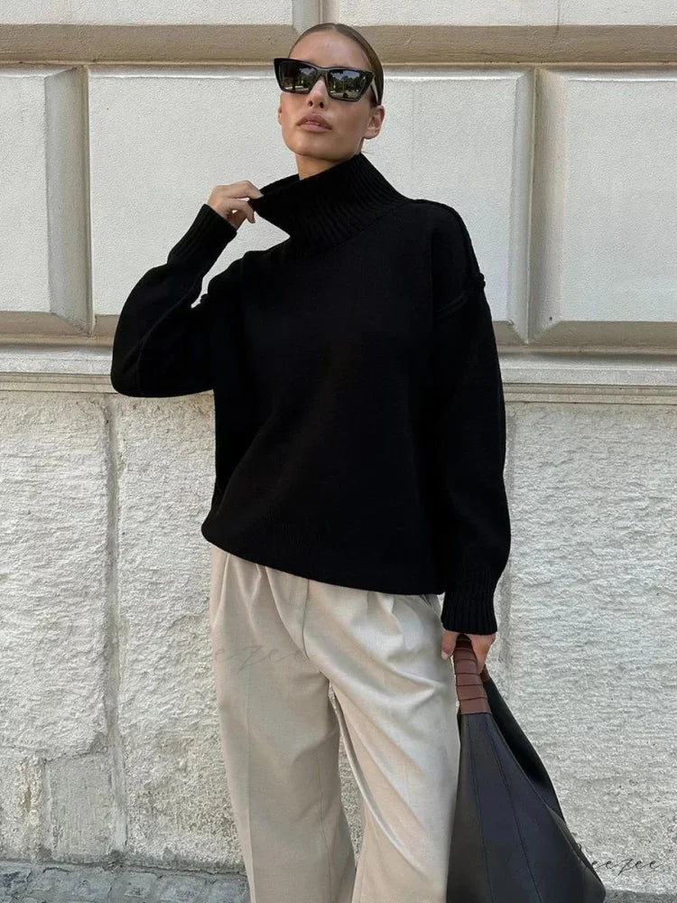 Solid Color Fashion Turtleneck Sweater Black / S swraters-241228