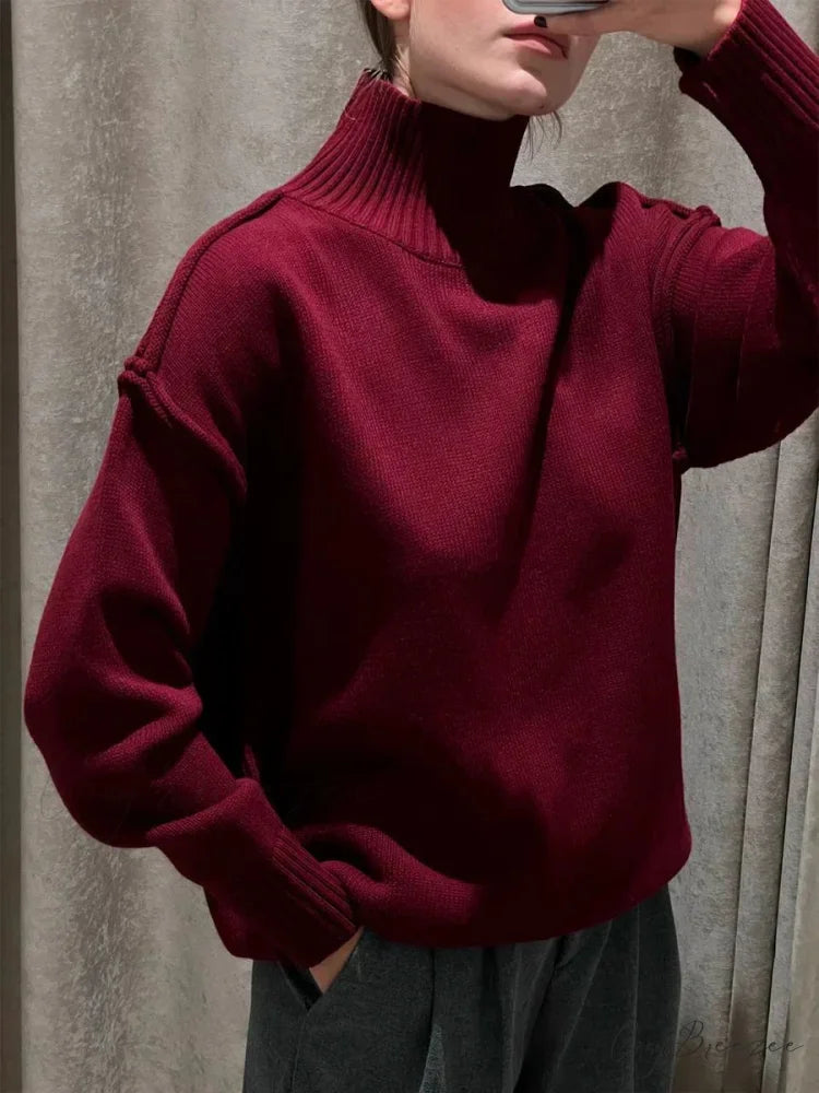Solid Color Fashion Turtleneck Sweater Burgundy / S swraters-241228