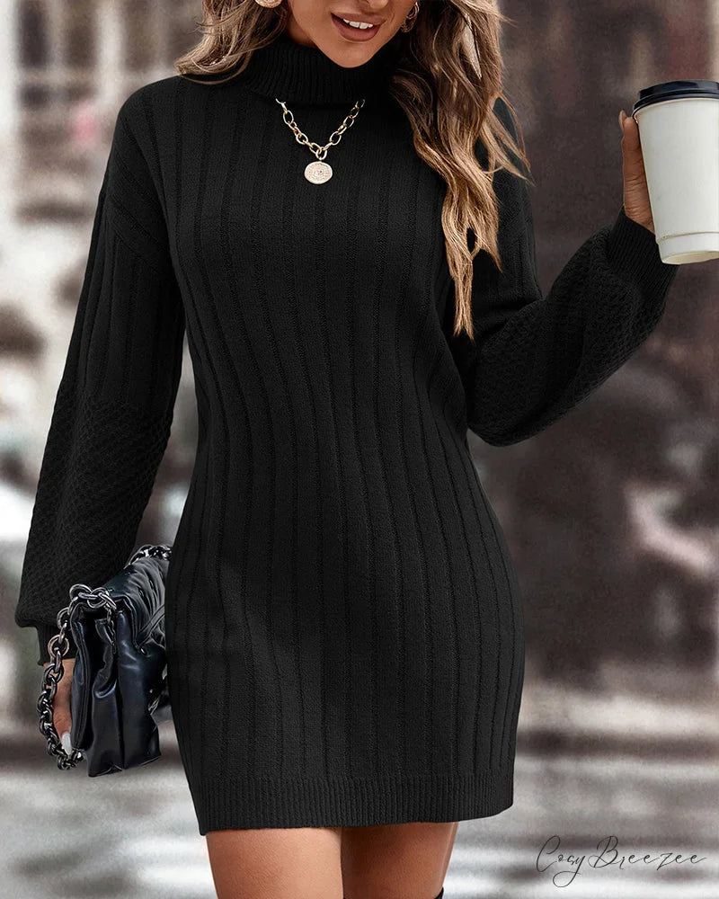 Solid Color High Neck Sweater Dress Black / S