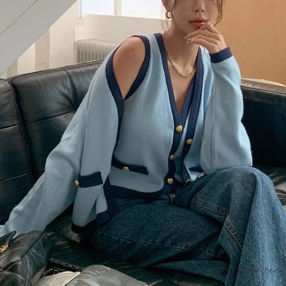 Spring V-neck Full Sleeve Knit Cardigan Blue / One Size cardigans-241228
