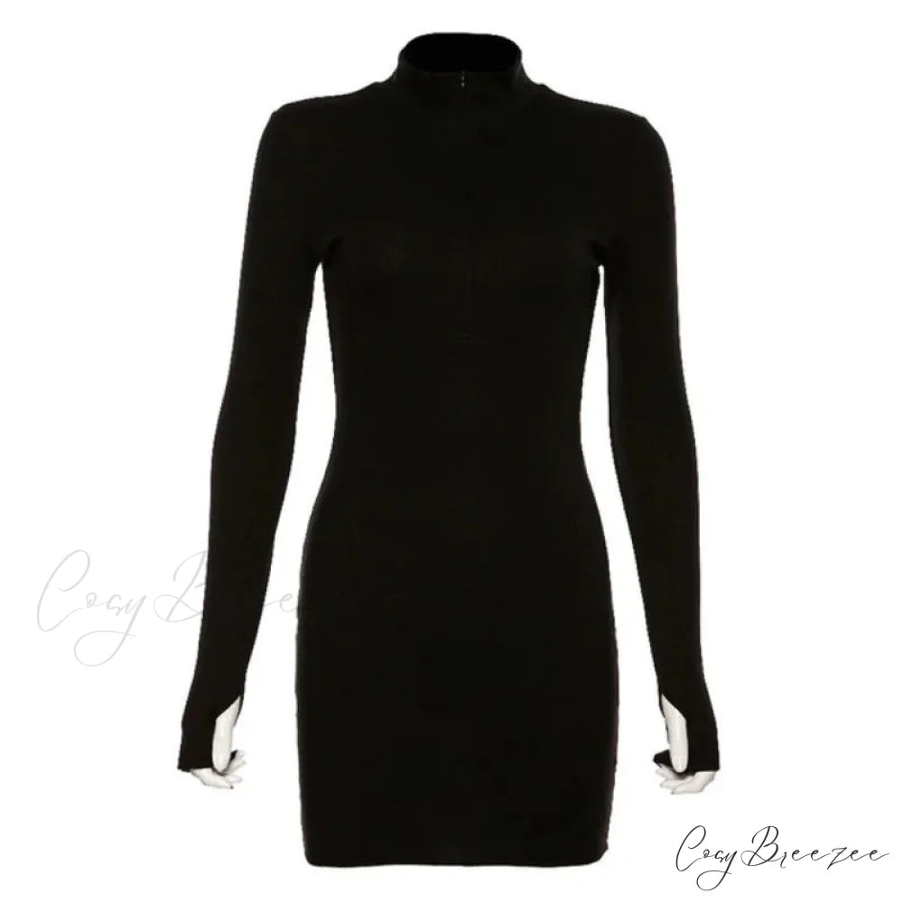 Stretch Ribbed Knitted Turtleneck Mini Dress Black / S