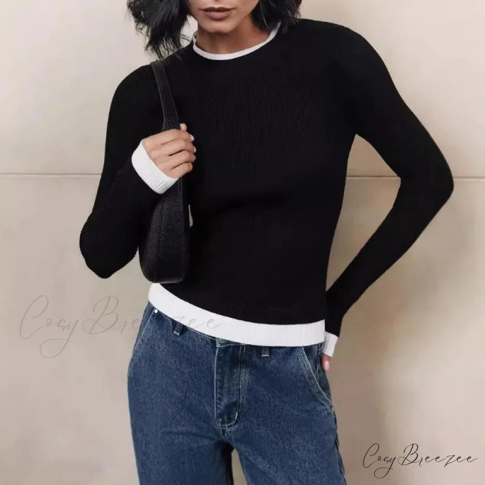 Tight Slim Long Sleeve O-neck Sweater Black / S swraters-241228