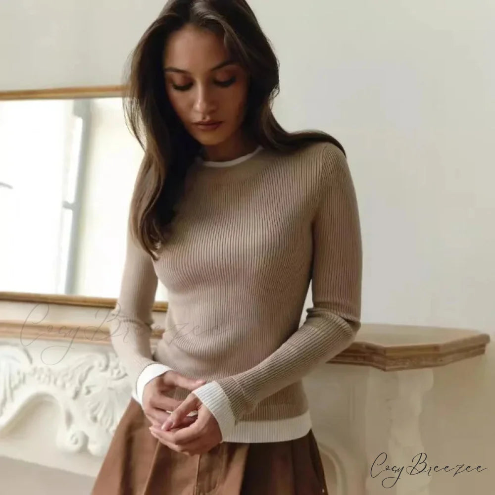 Tight Slim Long Sleeve O-neck Sweater swraters-241228
