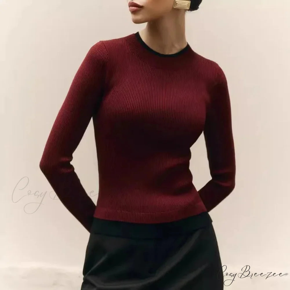 Tight Slim Long Sleeve O-neck Sweater swraters-241228