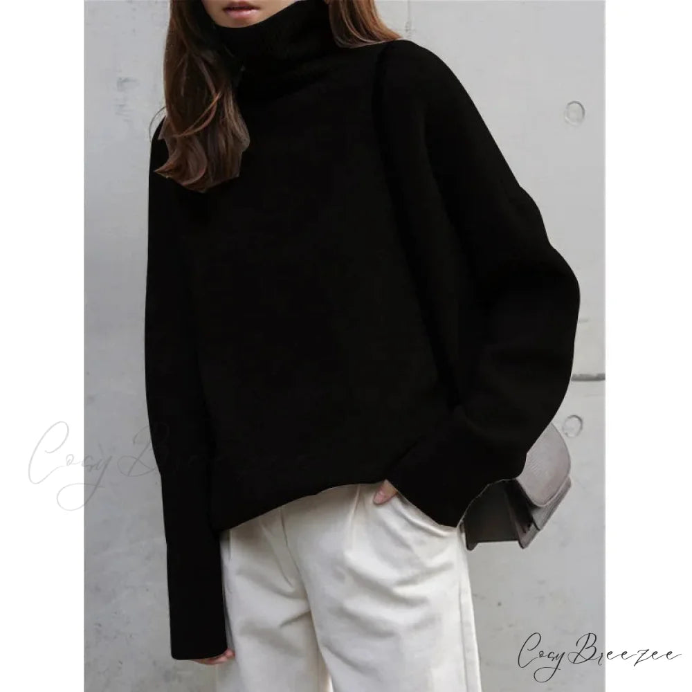 Turtleneck Cashmere Thickened Sweater Black / S swraters-241228
