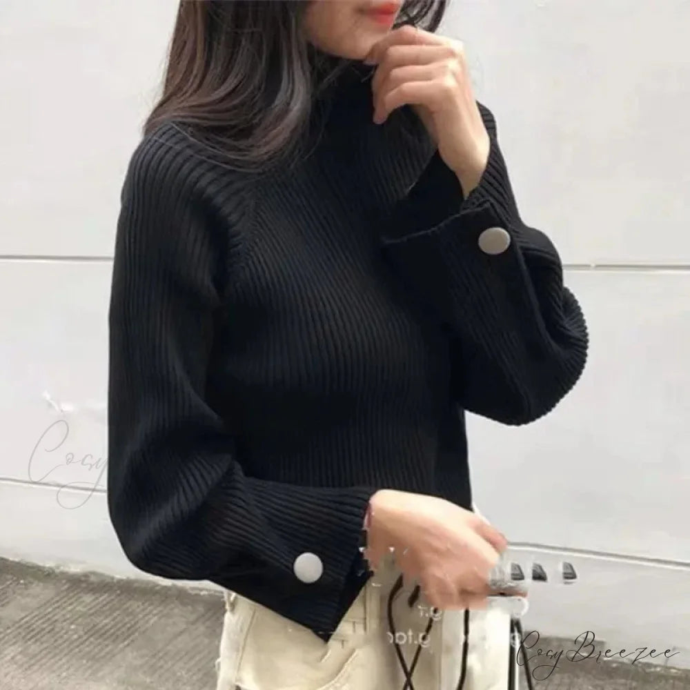 Turtleneck & Crochet E-girl Year-round Sweater Black / One Size swraters-241228