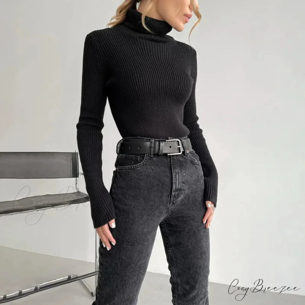 Turtleneck Slim Pullover Long Sleeve Sweater Black / M swraters-241228