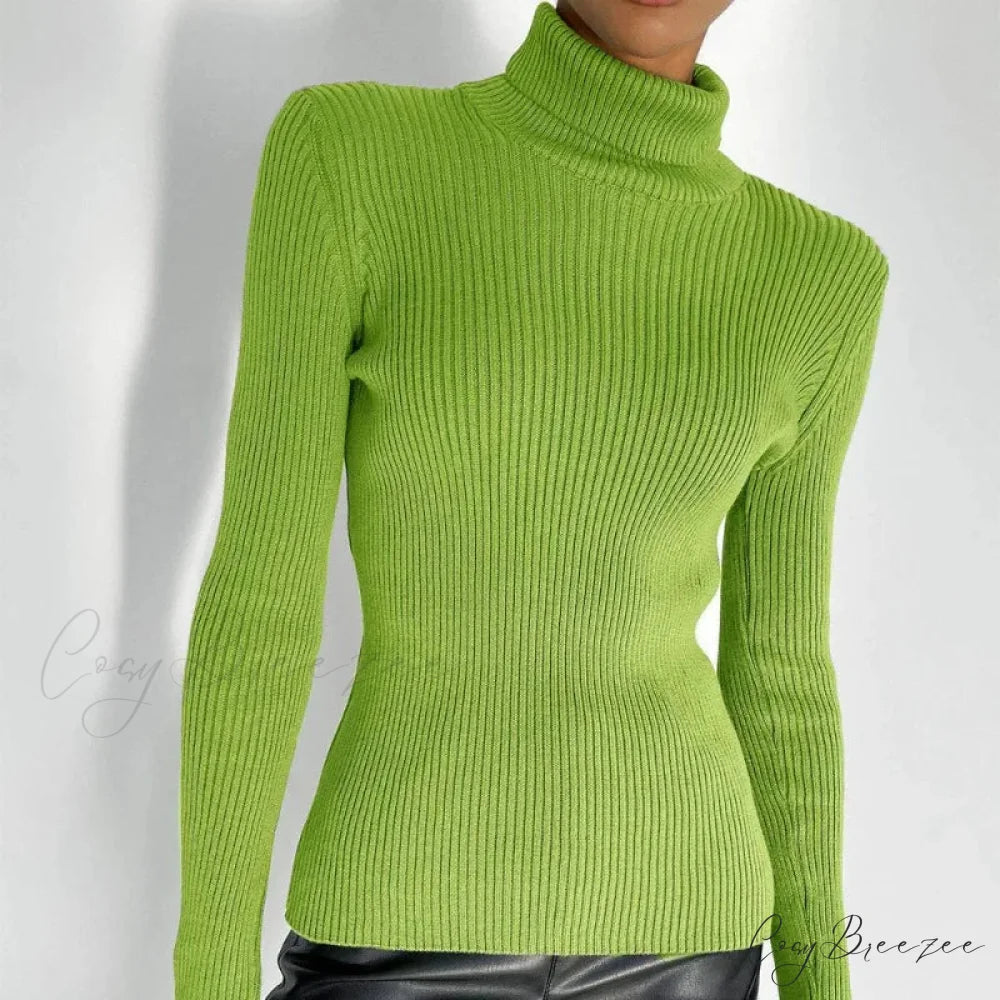 Turtleneck Slim Pullover Long Sleeve Sweater Green / M swraters-241228