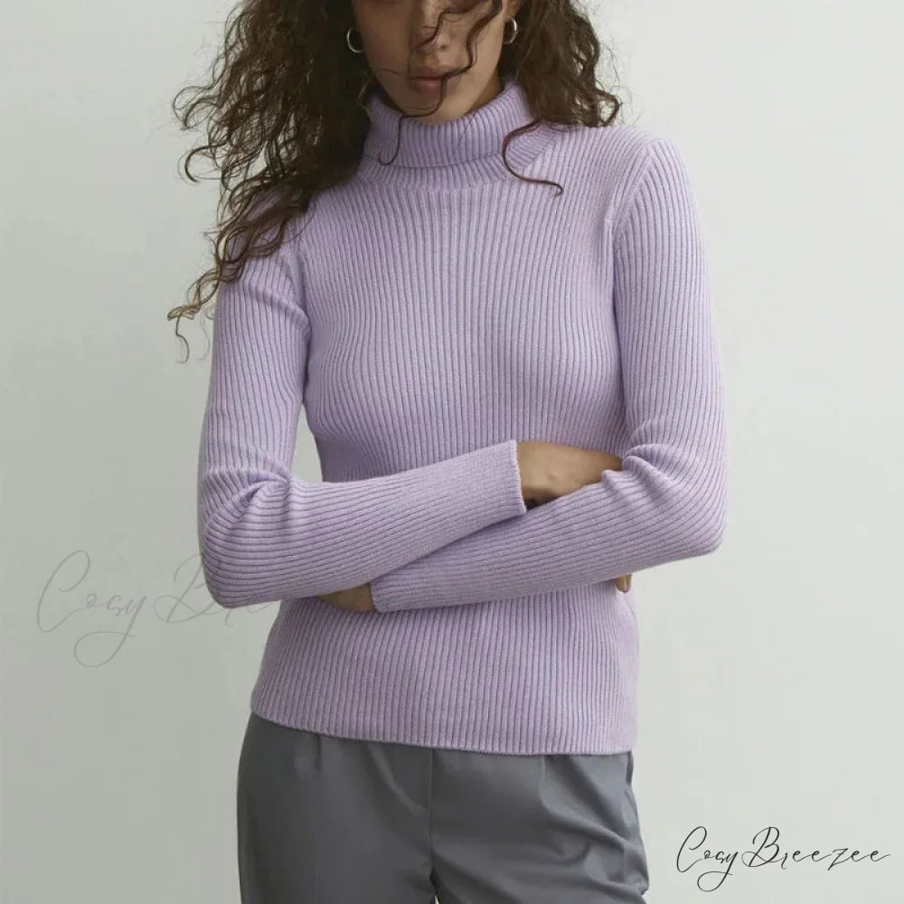 Turtleneck Slim Pullover Long Sleeve Sweater PURPLE / M swraters-241228