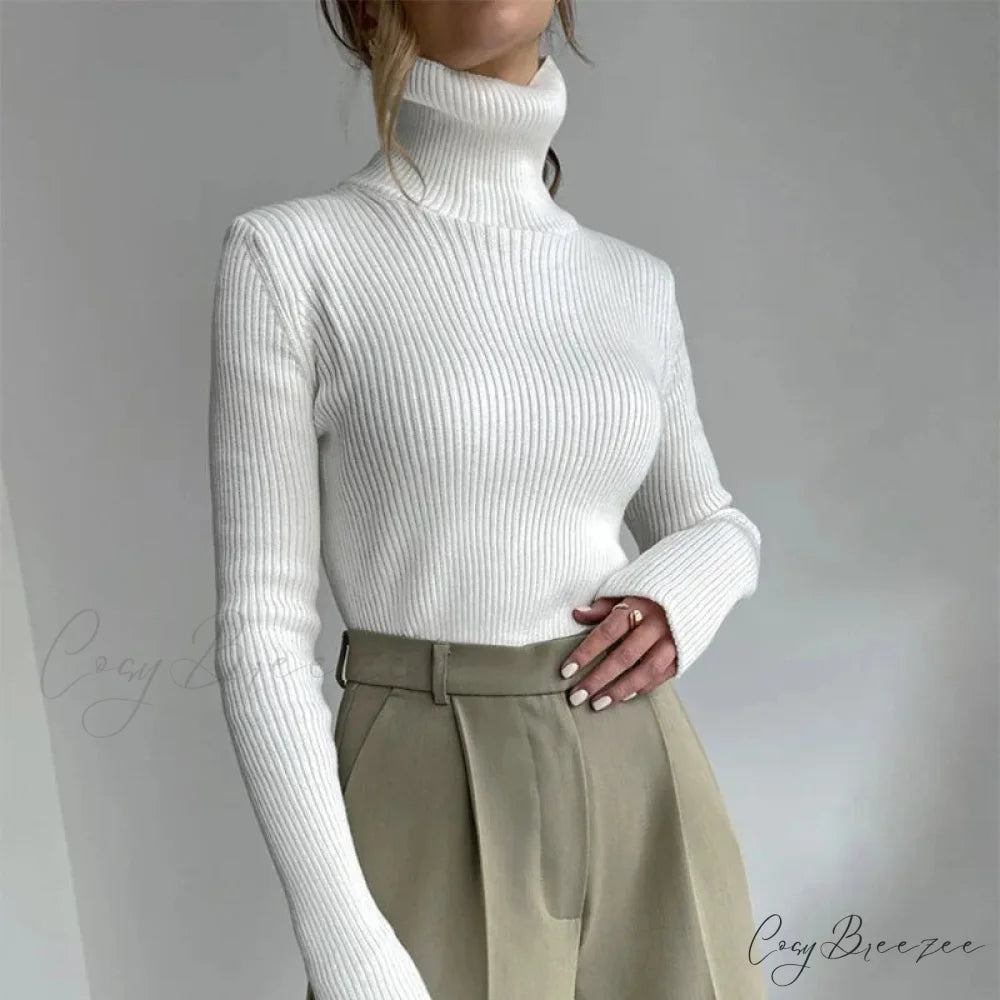 Turtleneck Slim Pullover Long Sleeve Sweater swraters-241228