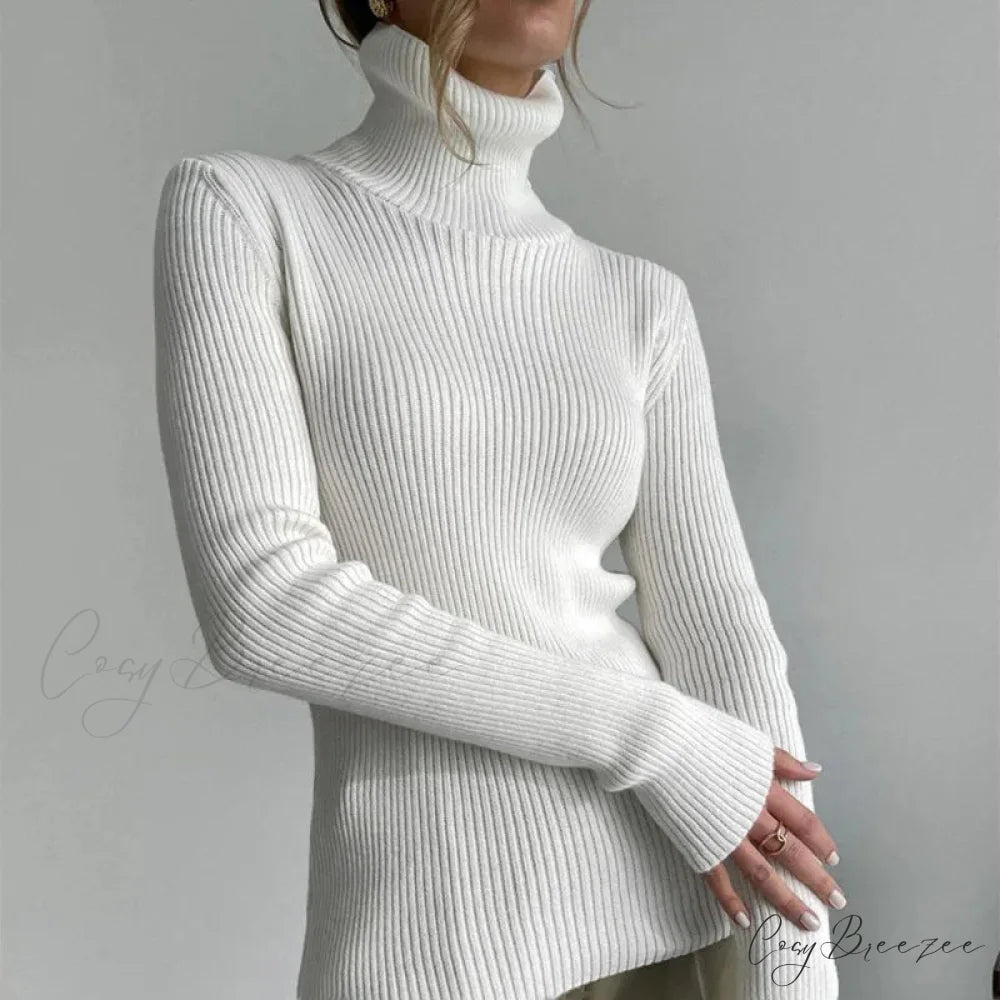 Turtleneck Slim Pullover Long Sleeve Sweater swraters-241228