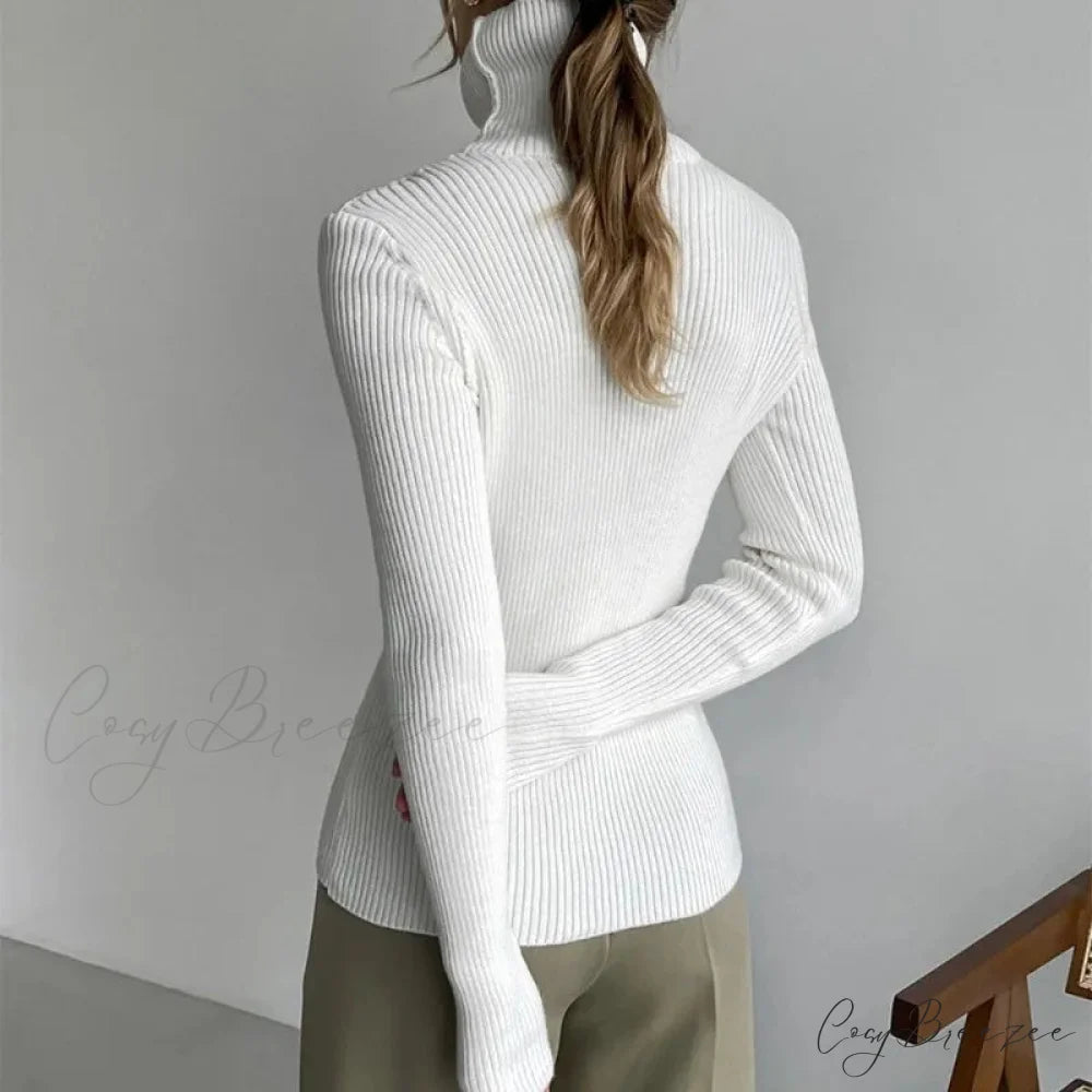 Turtleneck Slim Pullover Long Sleeve Sweater swraters-241228