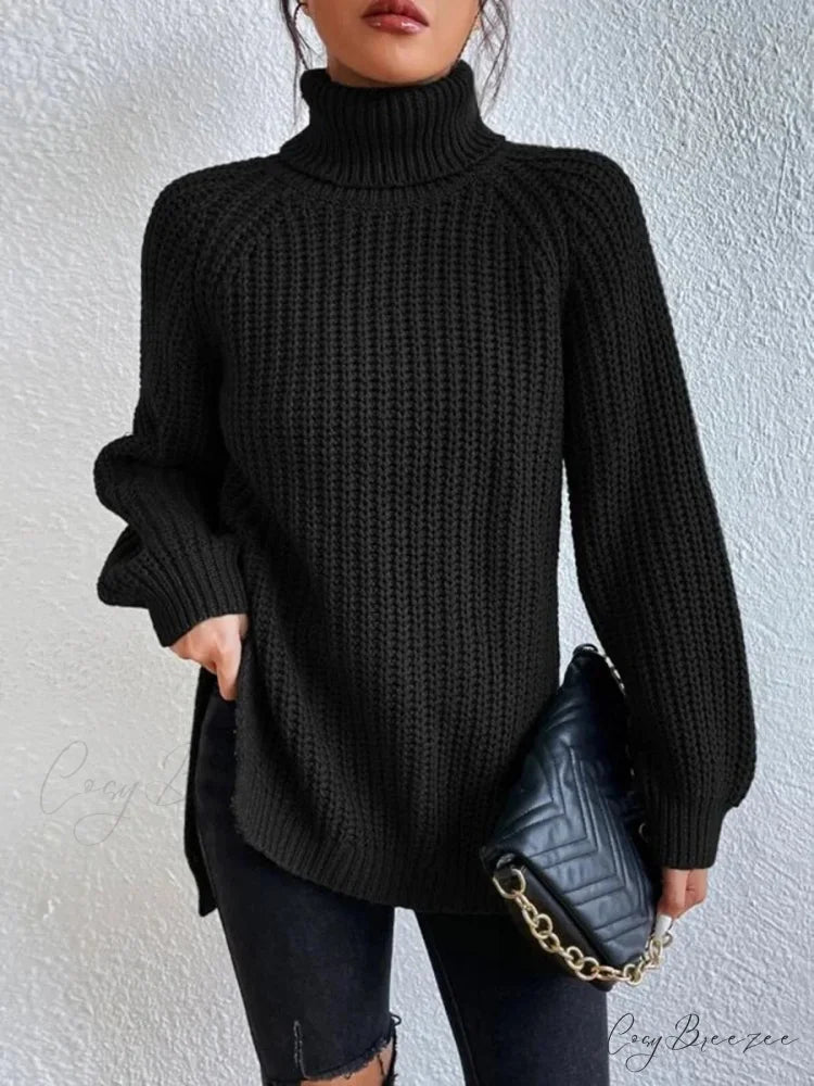 Turtleneck Split Crochet Heavy Sweater Black / S swraters-241228