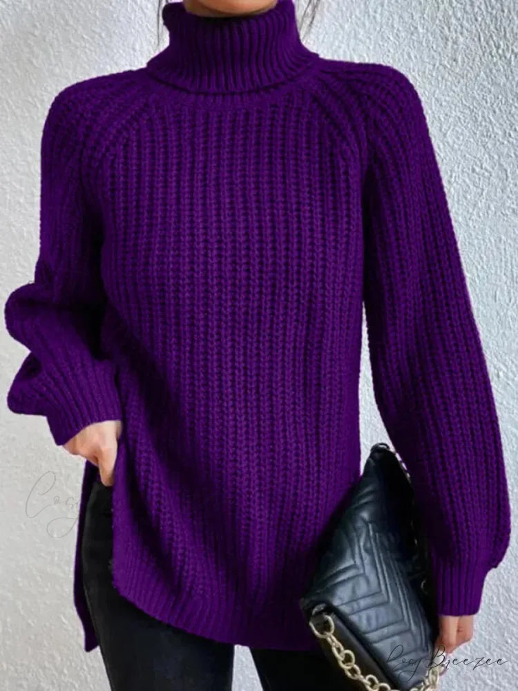 Turtleneck Split Crochet Heavy Sweater Purple / S swraters-241228