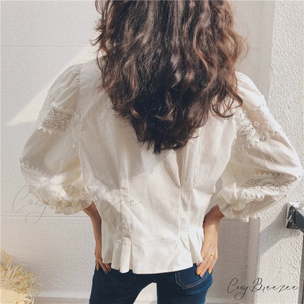 Vintage Floral Embroidery Cotton Linen Lantern Sleeve Blouse bohoblouse-250126