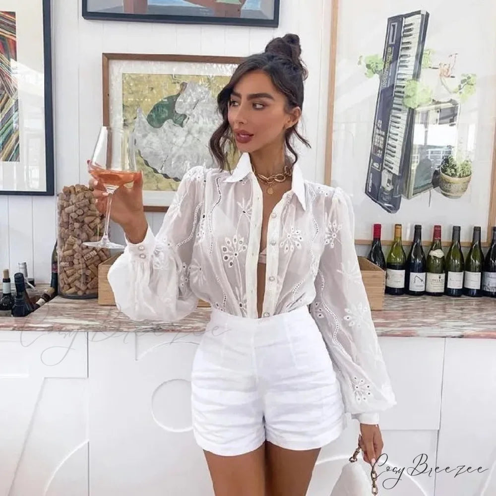 Vintage Floral Embroidery Hollow Out Puff Sleeve Blouse bohoblouse-250126