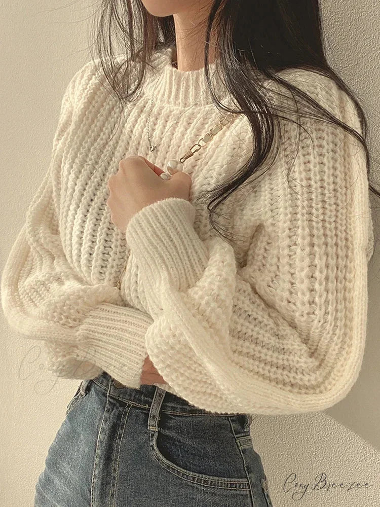 Vintage Lantern Long Sleeve Sweater Beige / One Size swraters-241228