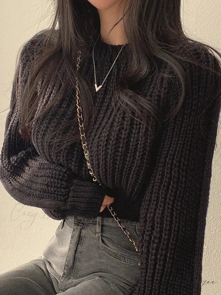 Vintage Lantern Long Sleeve Sweater Black / One Size swraters-241228