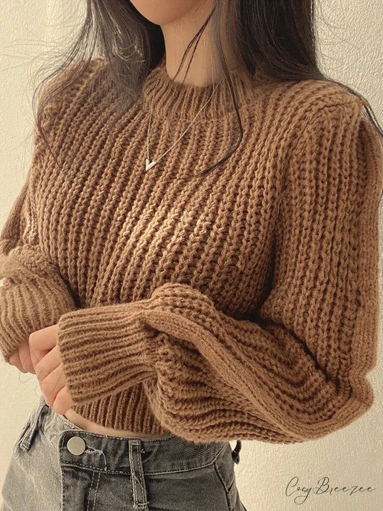 Vintage Lantern Long Sleeve Sweater Brown / One Size swraters-241228