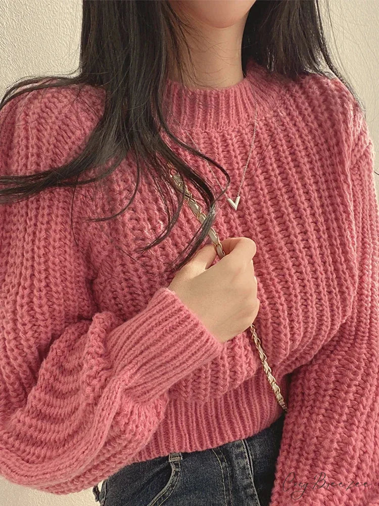 Vintage Lantern Long Sleeve Sweater Pink / One Size swraters-241228