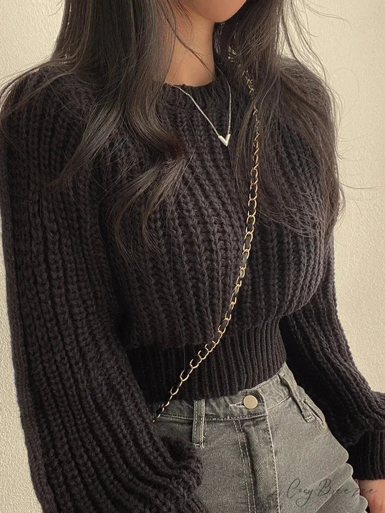 Vintage Lantern Long Sleeve Sweater swraters-241228