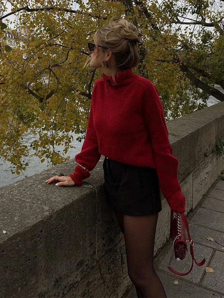 Vintage Long Sleeve Pullover Sweater swraters-241228