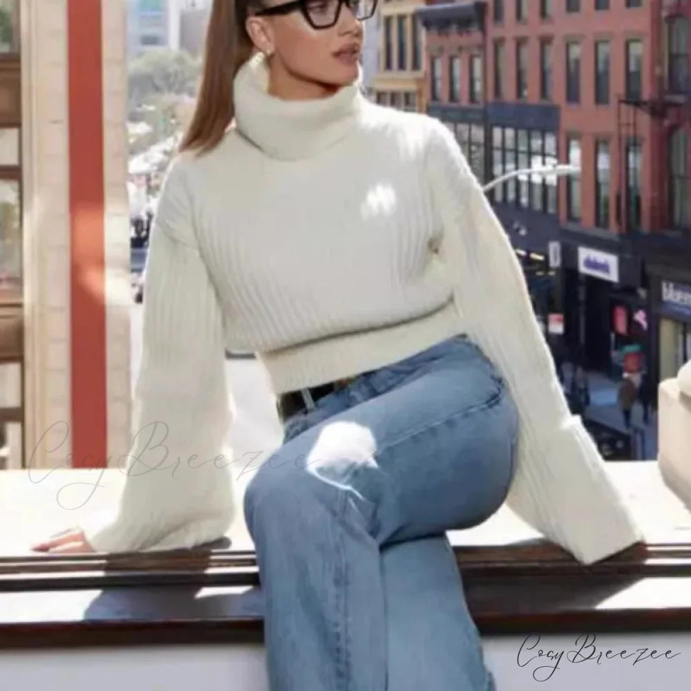 Winter Lapel Short Sweater WHITE / S swraters-241228