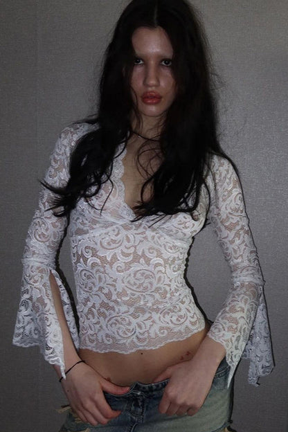 Slim Fit Scallop Lace V-Neck Knit Top