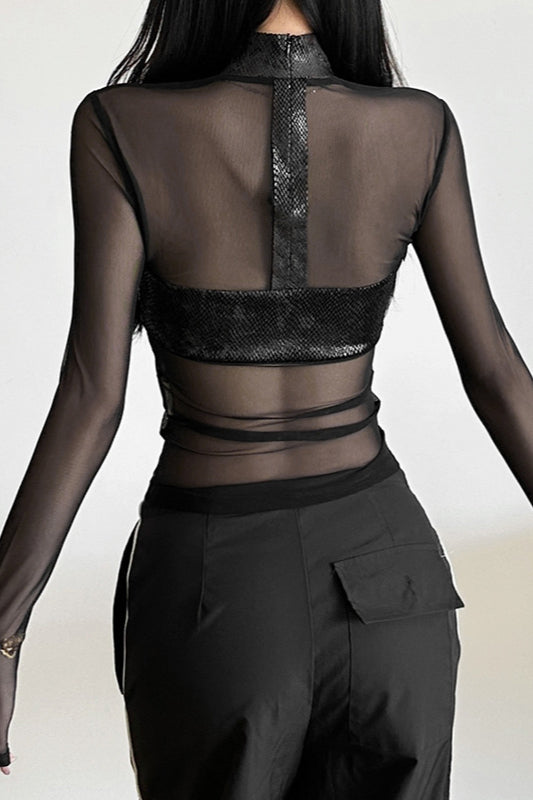 Sheer Mesh Crew Neck Knit Top