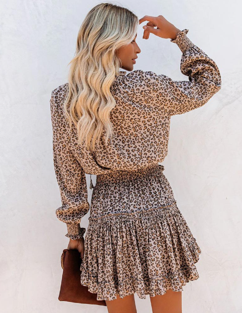 Spring Autumn Long Sleeve Women's Leopard Print Party Dress