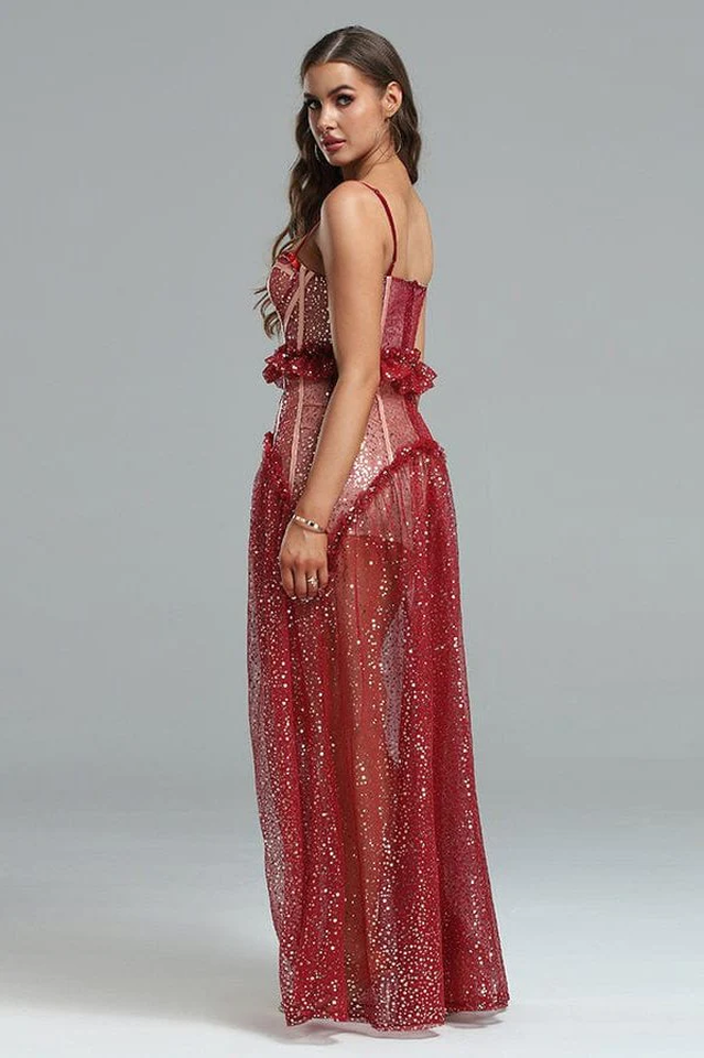 Barrett Sequined Mesh Charming & Lace Maxi Dress