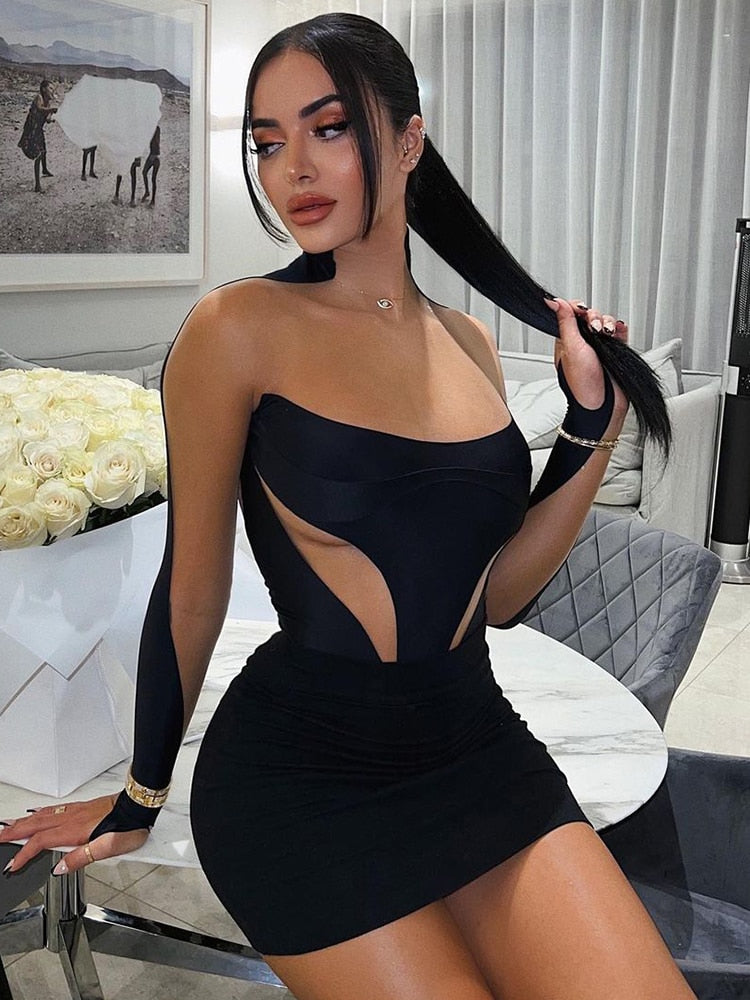 Black Patchwork Mesh Long Graceful Sleeve Bodycon Mini Dress