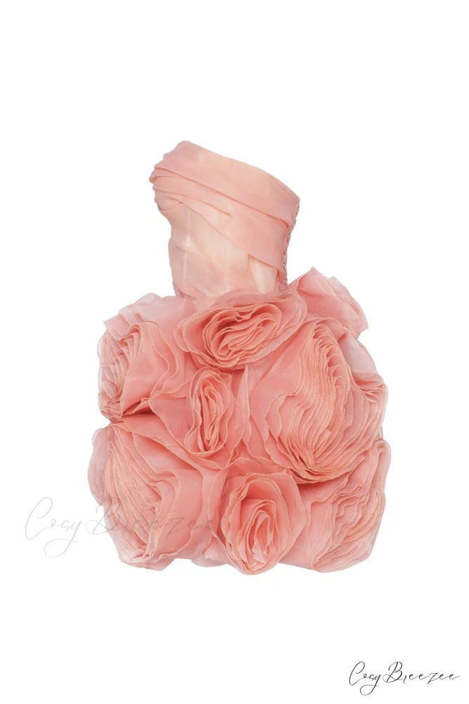 Appliqud Organza Stylish Coral Mini Dress