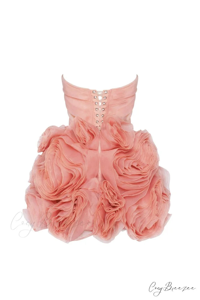 Appliqud Organza Stylish Coral Mini Dress