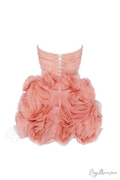 Appliqud Organza Stylish Coral Mini Dress