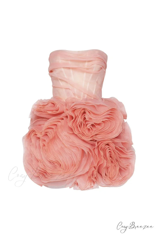 Appliqud Organza Stylish Coral Mini Dress XXS / Coral