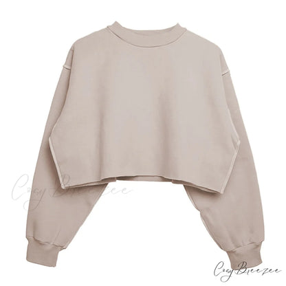 Arm Loose Hoodie Oversized Size Crop Fit - Long Cotton Harajuku - Streetwear Casual - Plus - Women’s Pullover Ropa