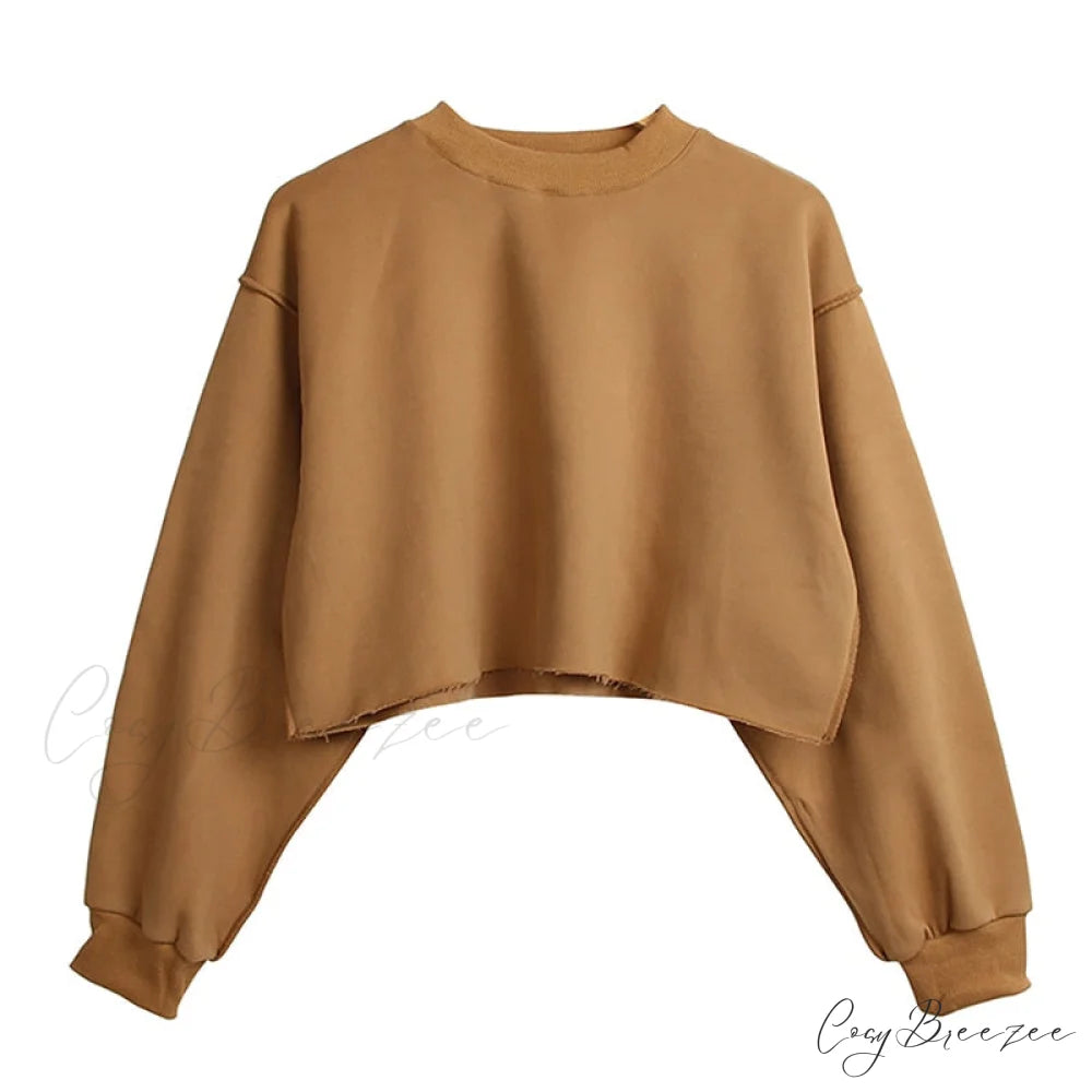 Arm Loose Hoodie Oversized Size Crop Fit - Long Cotton Harajuku - Streetwear Casual - Plus - Women’s Pullover Ropa
