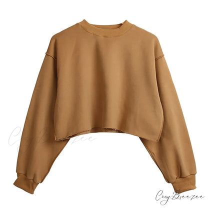 Arm Loose Hoodie Oversized Size Crop Fit - Long Cotton Harajuku - Streetwear Casual - Plus - Women’s Pullover Ropa