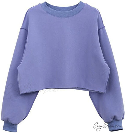Arm Loose Hoodie Oversized Size Crop Fit - Long Cotton Harajuku - Streetwear Casual - Plus - Women’s Pullover Ropa