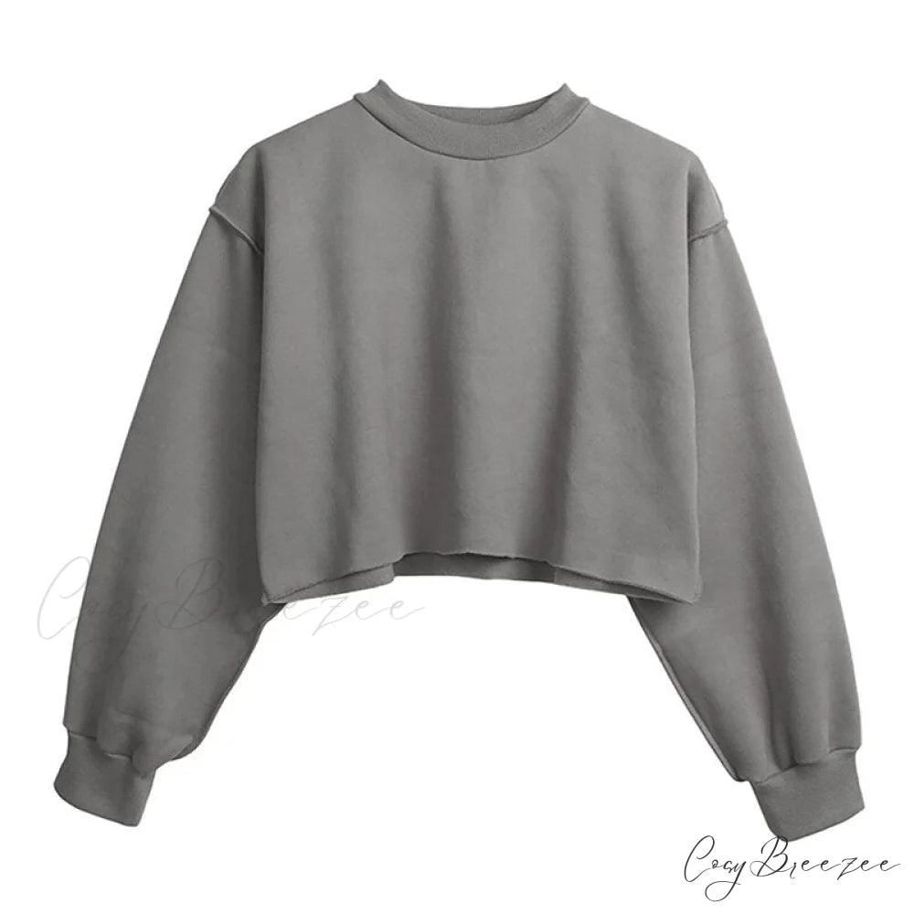 Arm Loose Hoodie Oversized Size Crop Fit - Long Cotton Harajuku - Streetwear Casual - Plus - Women’s Pullover Ropa