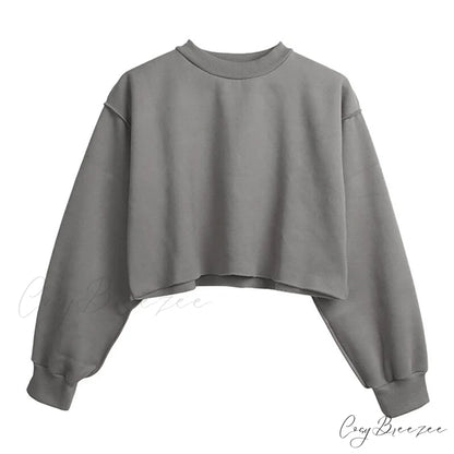Arm Loose Hoodie Oversized Size Crop Fit - Long Cotton Harajuku - Streetwear Casual - Plus - Women’s Pullover Ropa