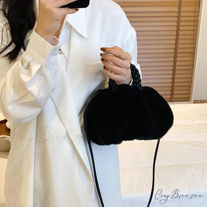 Autumn Winter Faux Fur Pleated Fashion Crossbody Handbag handbag-250126