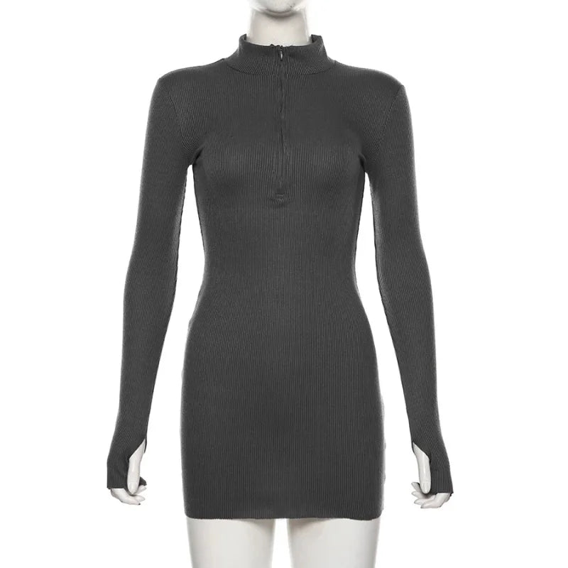 Stretch Ribbed Knitted Turtleneck Mini Dress